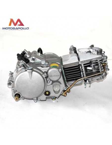 Motor 160 YX - Motosapollo.com