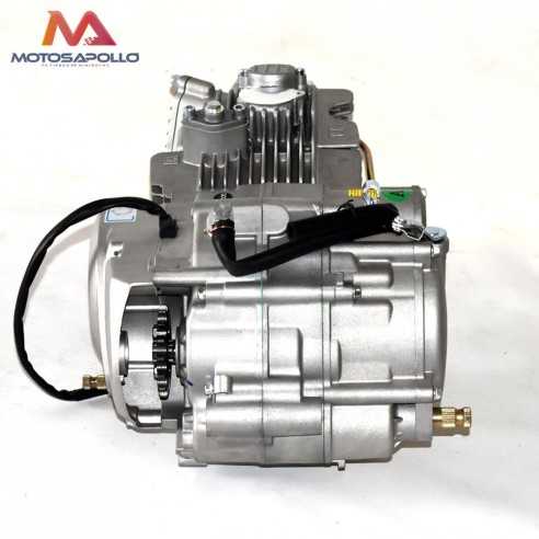 Motor 160 YX - Motosapollo.com