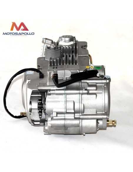 Motor 160 YX - Motosapollo.com