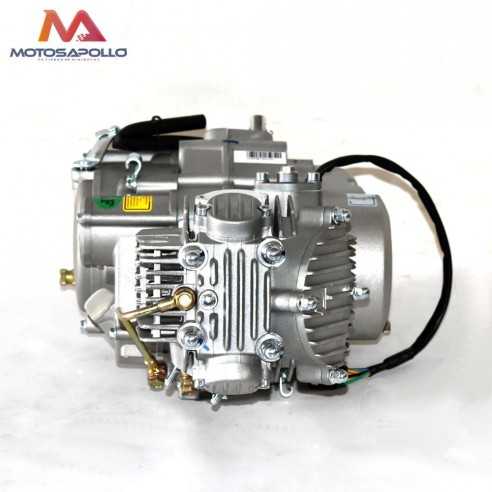 Motor 160 YX - Motosapollo.com