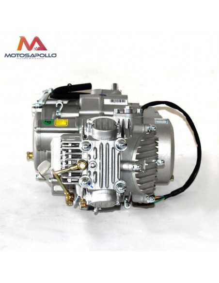 Motor 160 YX - Motosapollo.com