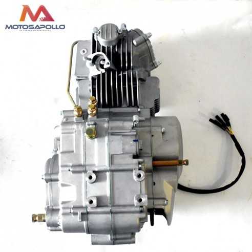 Motor 160 YX - Motosapollo.com