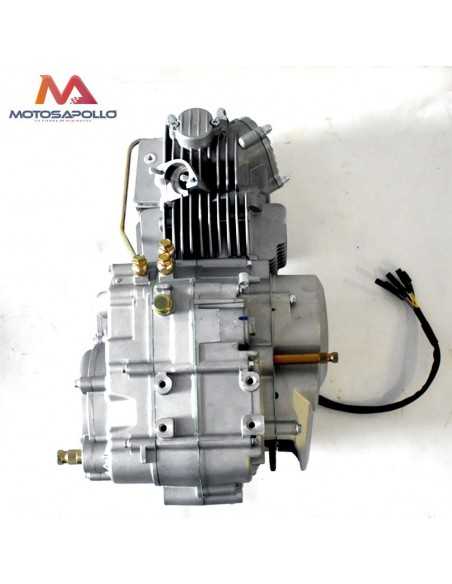 Motor 160 YX - Motosapollo.com