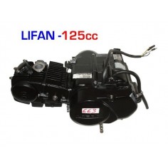 Motor 125 LIFAN Pit Bike Motosapollo.com