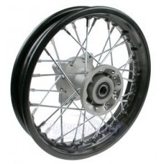 Llanta pit bike 10" delantera SDG - 1