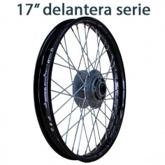 Llanta 17 delantera pit bike serie - 1