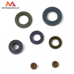 Kit retenes motor 50/125cc pit bike-quad Motosapollo.com