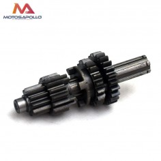 Kit piñon caja de cambio pit bike - Motosapollo.com