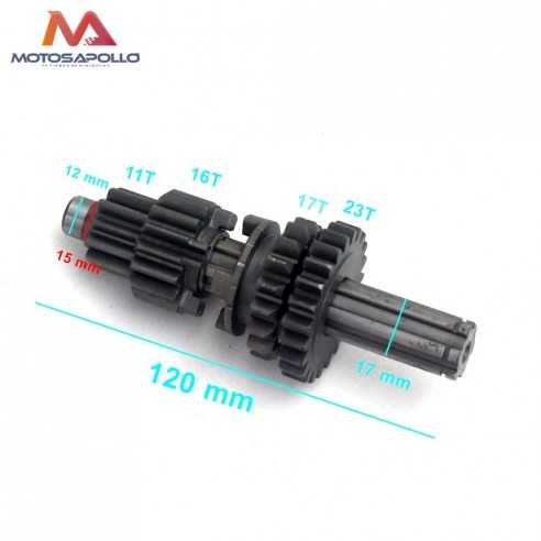 Kit piñon caja de cambio pit bike - Motosapollo.com