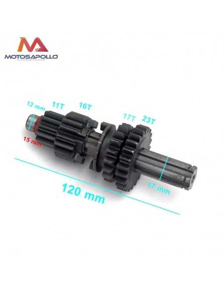 Kit piñon caja de cambio pit bike - Motosapollo.com
