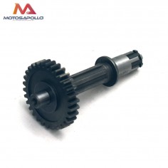 Kit piñon caja de cambio automático pit bike - Motosapollo.com