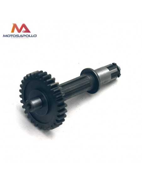Kit piñon caja de cambio automático pit bike - Motosapollo.com