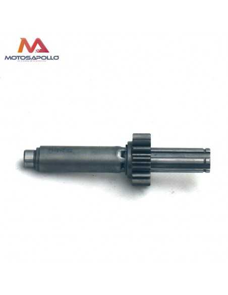 Kit piñon caja de cambio automático motocross-Motosapollo.com