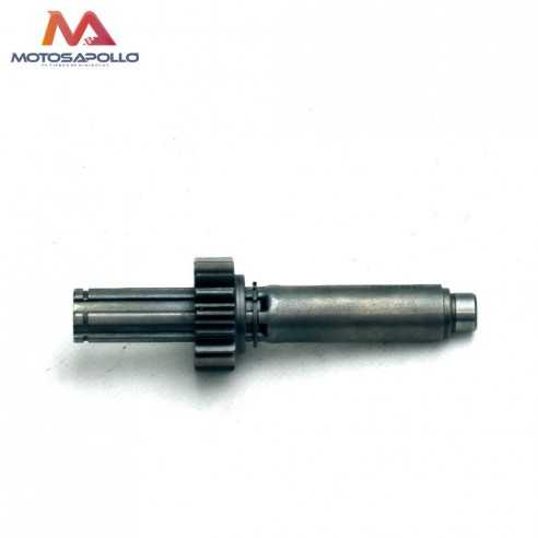 Kit piñon caja de cambio automático motocross-Motosapollo.com