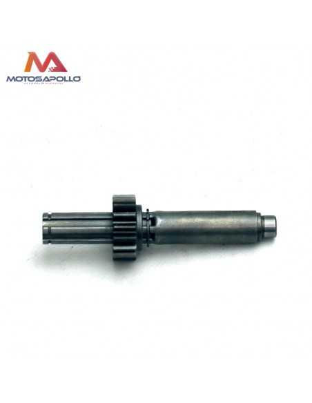 Kit piñon caja de cambio automático motocross-Motosapollo.com