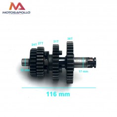 Kit piñon caja cambio secundario pit bike -Motosapollo.com 2