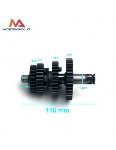 Kit piñon caja cambio secundario pit bike - 2