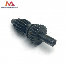 Kit piñon caja cambio primario pit bike-Motosapollo.com