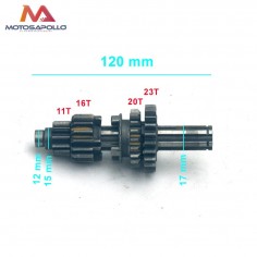 Kit piñon caja cambio primario pit bike-Motosapollo.com 2