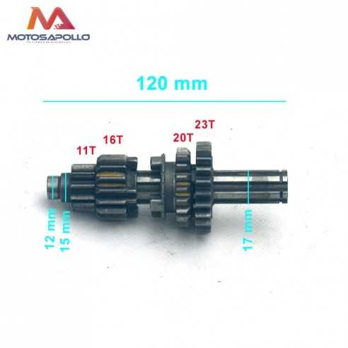 Kit piñon caja cambio primario pit bike-Motosapollo.com