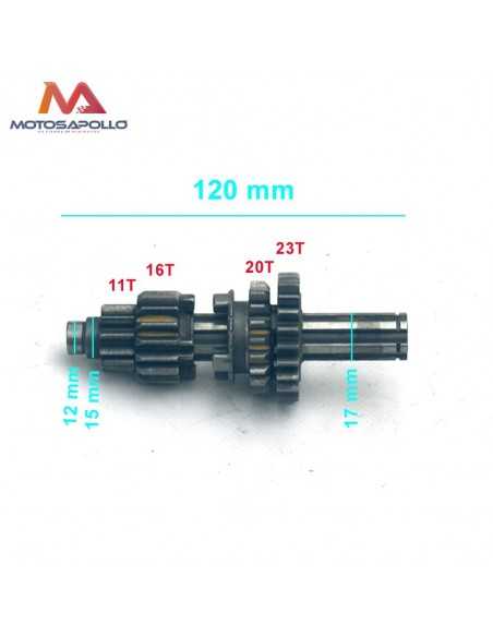 Kit piñon caja cambio primario pit bike-Motosapollo.com