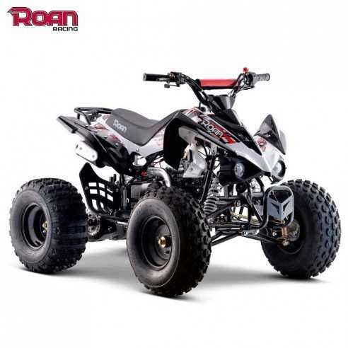 Kit de plástico quad pantera - Motosapollo.com