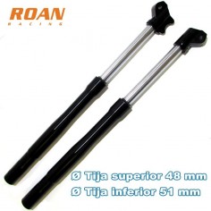 Juego horquillas invertidas AGB30