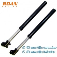 Juego horquillas invertidas AGB29