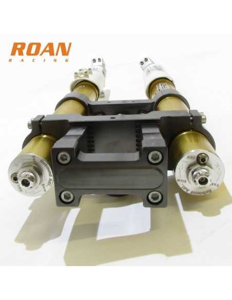 Horquilla invertida Pit Bike DNM M200 - Motosapollo.com