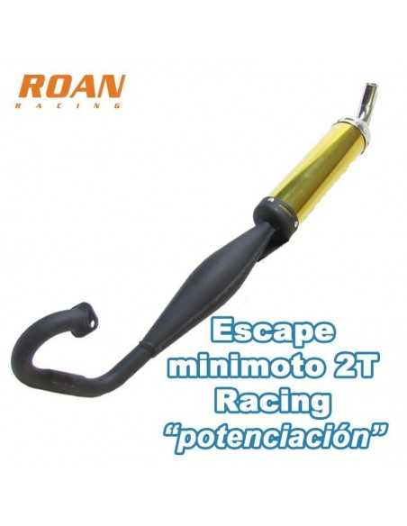 Escape minimoto 2T racing