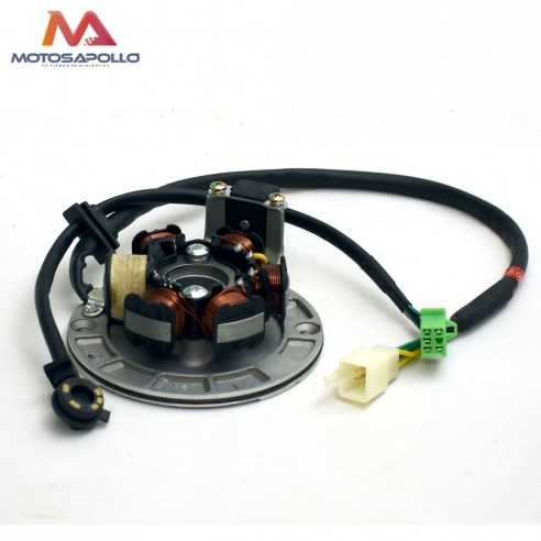Encendido 6 bobinas 83Ø con base Zongshen pit bike Motosapollo.com