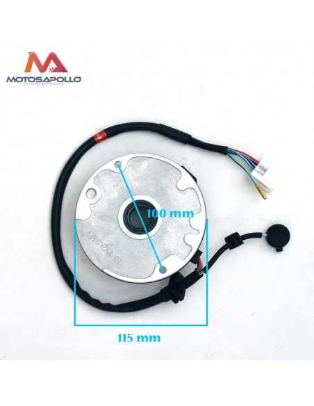 Encendido 2 bobinas con base Zongshen pit bike 155cc Motosapollo.com