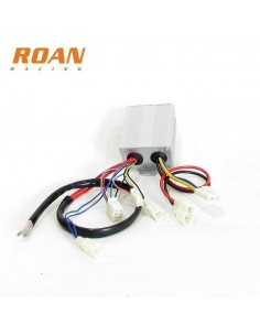 Centralita 200W 250W 24V 10+6pin - Motosapollo.com