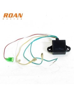 CDI Rotor Pit Bike - Motosapollo.com