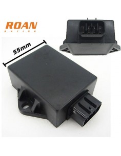 CDI 8 pin ZS-Zongshen - Motosapollo.com