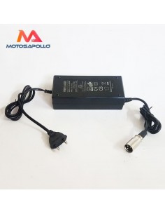 Cargador batería macho 60V - Motosapollo.com