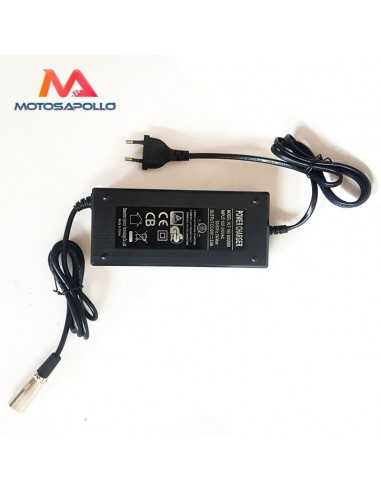 Cargador batería macho 60V - Motosapollo.com