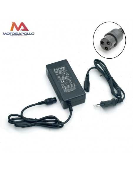 Cargador batería hembra mini quad 43.2V-1.5AH - Motosapollo.com