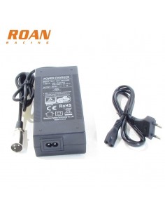 Cargador bateria 48V-2Ah macho - Motosapollo.com