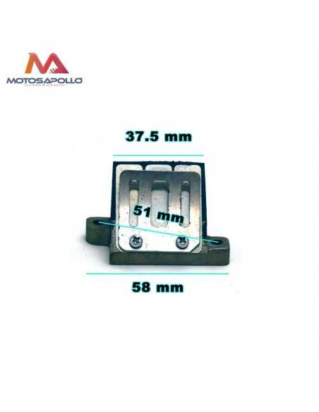 Caja lamina 50cc pit bike Motosapollo.com