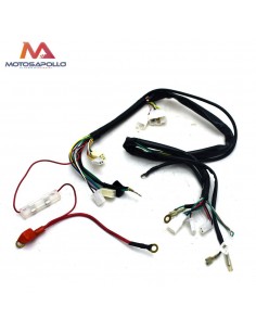 Cableado eléctrico pit bike 250 - Motosapollo.com