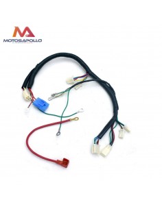 Cableado eléctrico pit bike - Motosapollo.com