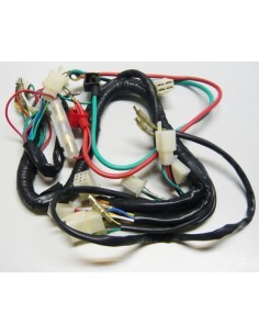 Cableado electrico miniquad 4T con marcha atras - Motosapollo