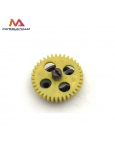 Bomba de agua 250cc pit bike Motosapollo.com 2