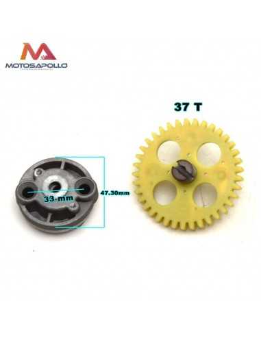 Bomba de agua 250cc pit bike Motosapollo.com