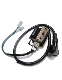 Bobina de alta R2 - 1