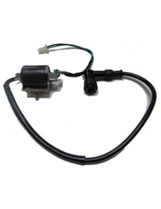 Bobina de alta R2 - 1 2