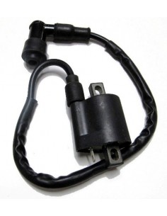 Bobina de alta R1 - 1