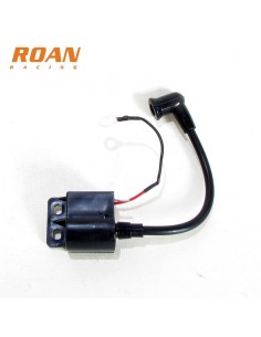 Bobina de alta 2T r50 - Motosapollo.com