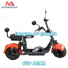 Batería interna litio 60v 12Ah 2